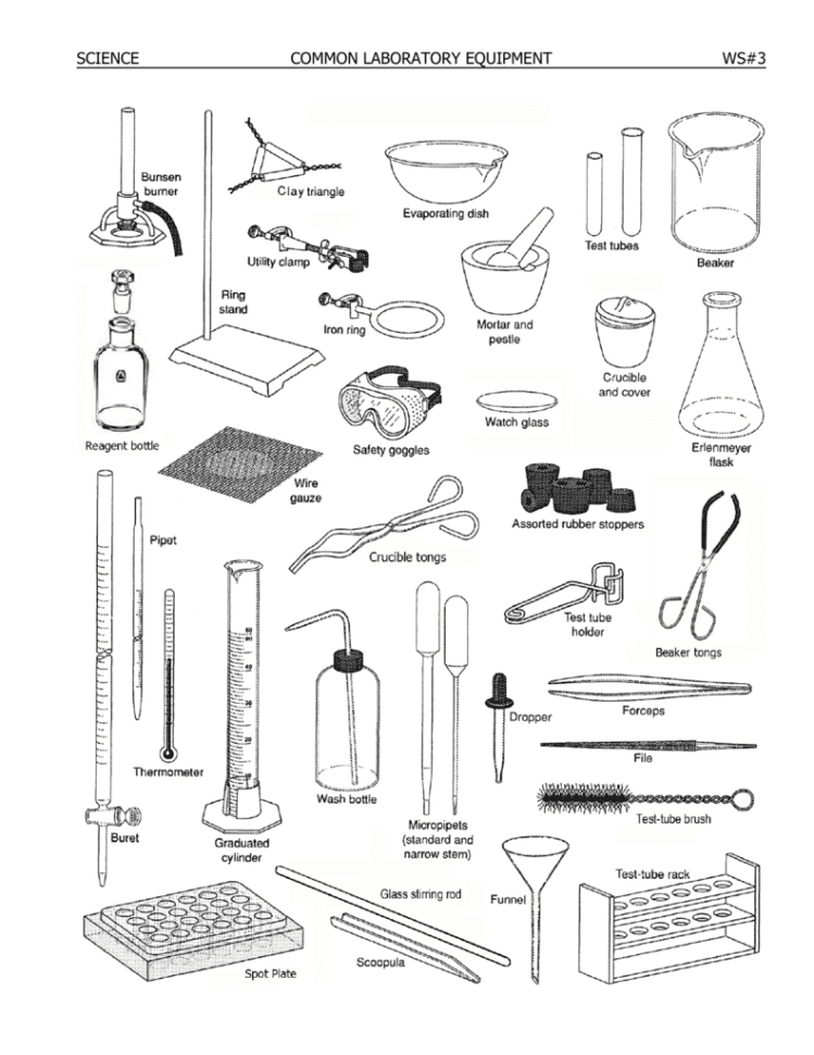 Science Common Laboratory Equipment Ws3  Youngswiki