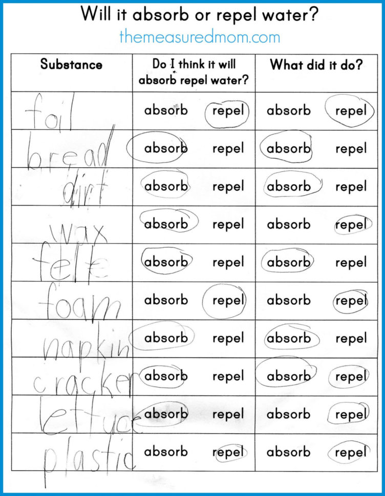 Science Experiment Worksheet Science Experiment Worksheet