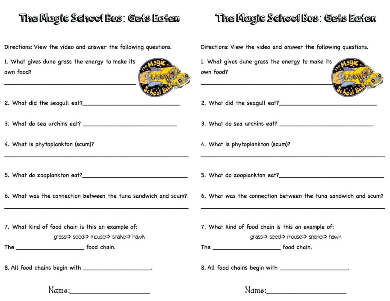 Science Food Chain Worksheets – Cortexcolorco Science Food Chain Worksheets – Cortexcolorco