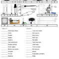 Science Lab Equipment Drag And Drop  Interactive Worksheet