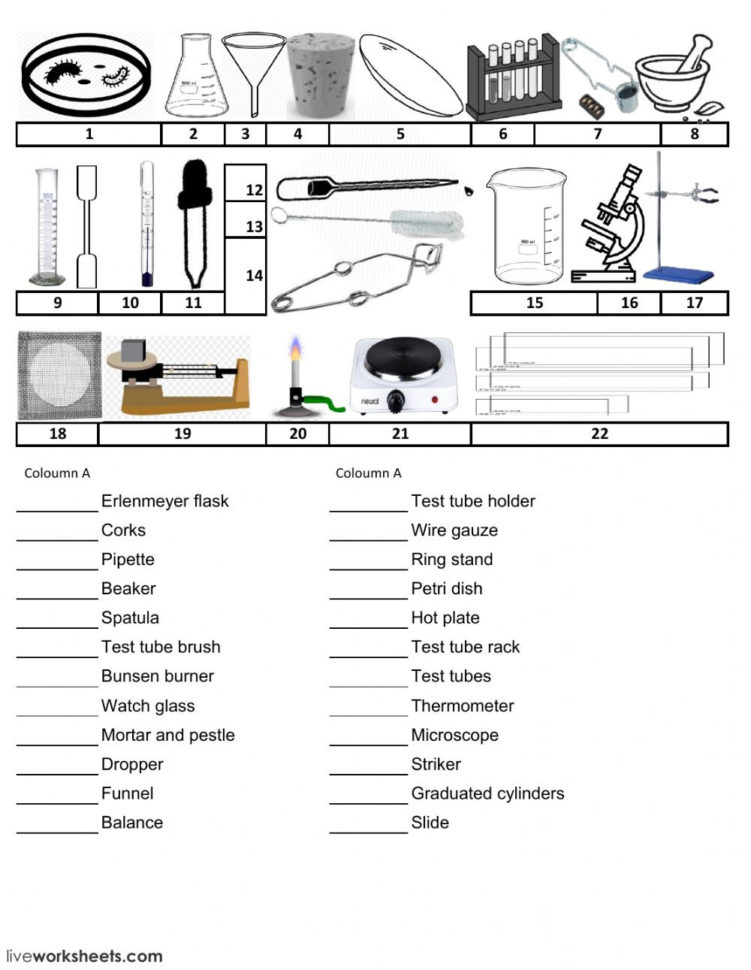 Science Lab Equipment Drag And Drop  Interactive Worksheet