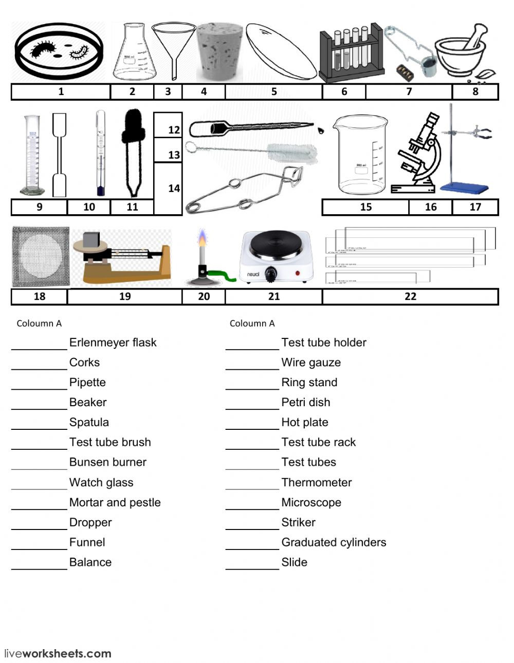 Science Lab Equipment Drag And Drop Interactive Worksheet Db excel