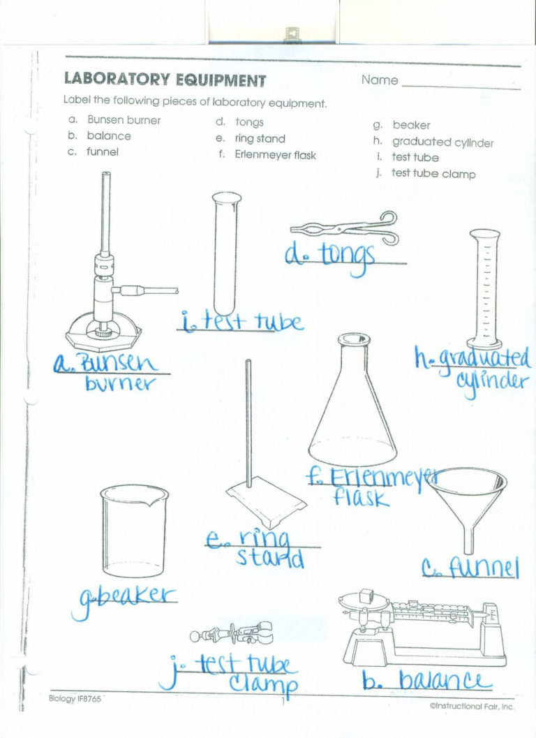 Science Lab Safety Worksheet — db-excel.com