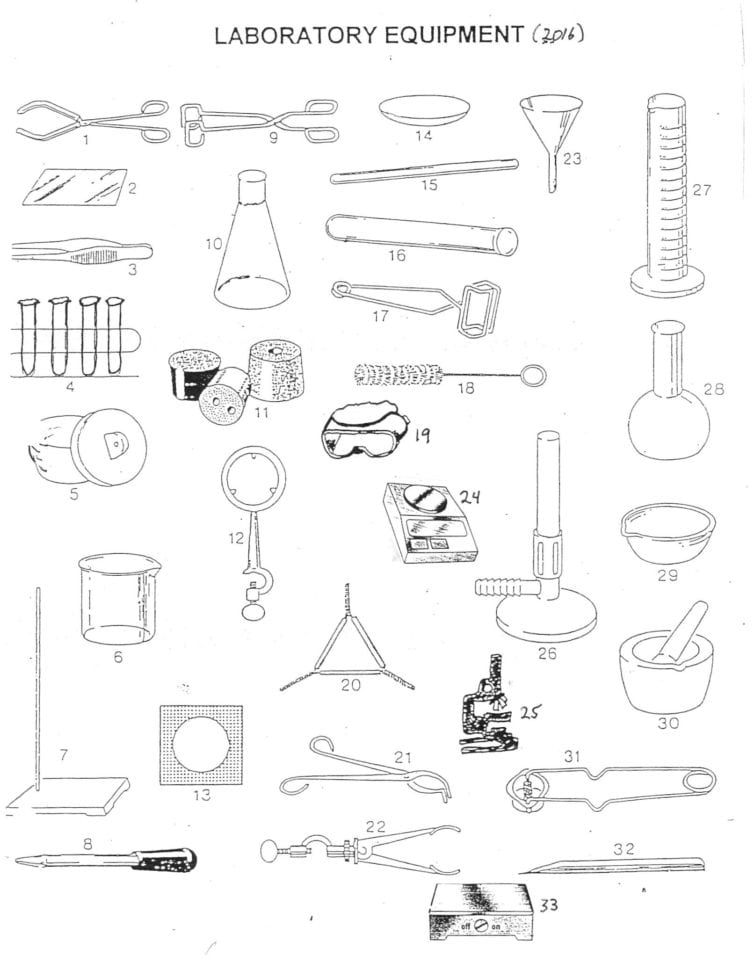Science Lab Safety Worksheet