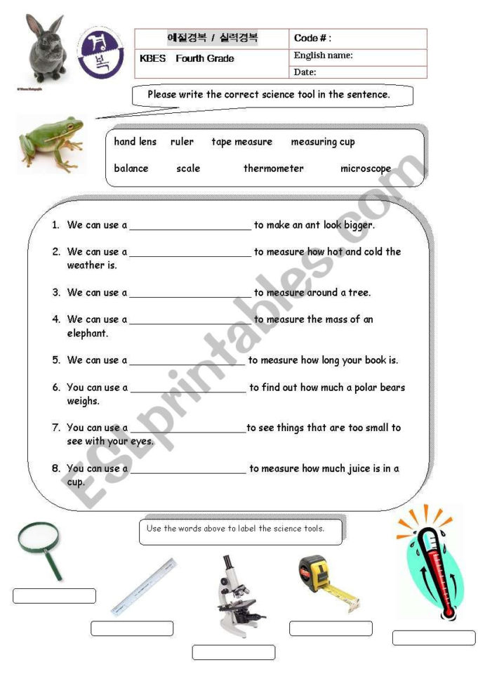 Science Tools  Esl Worksheetaugustgray