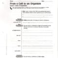 Science Worksheets Cells 7Th Grade  Collarbone