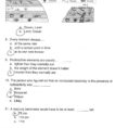 Science Worksheets For Grade 7 Algebra Worksheets All About