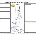 Scientific Method Practice Worksheet