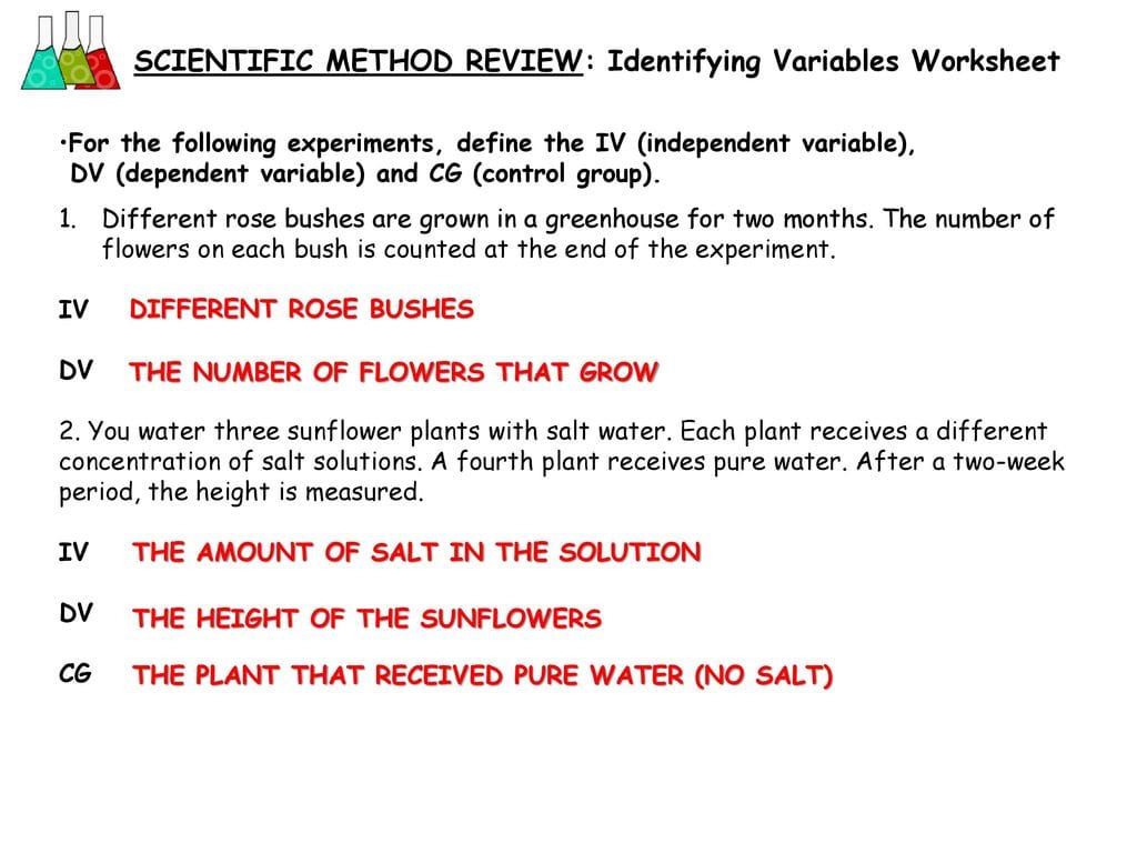 Scientific Method Review Identifying Variables Worksheet — db-excel.com