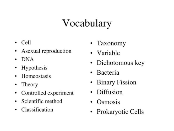 Scientific Method Review Identifying Variables Worksheet — db-excel.com