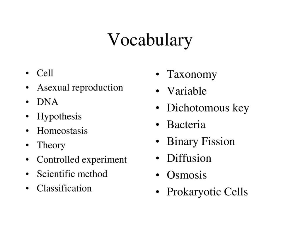 Scientific Method Review Identifying Variables Worksheet ...