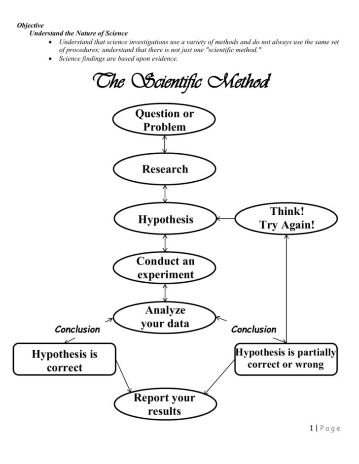 Can You Spot The Scientific Method Worksheet — db-excel.com