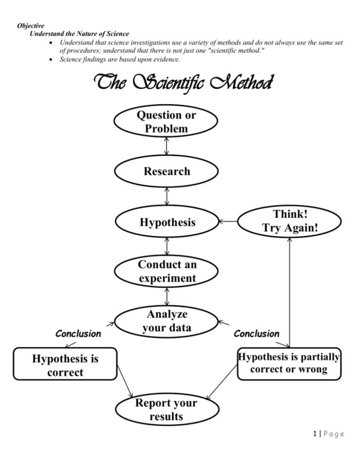 Scientific Method Worksheet