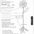 Second Grade Science Worksheets  Math Worksheet For Kids