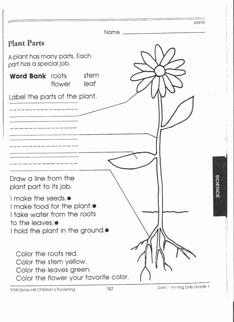 Second Grade Science Worksheets Math Worksheet For Kids Db excel