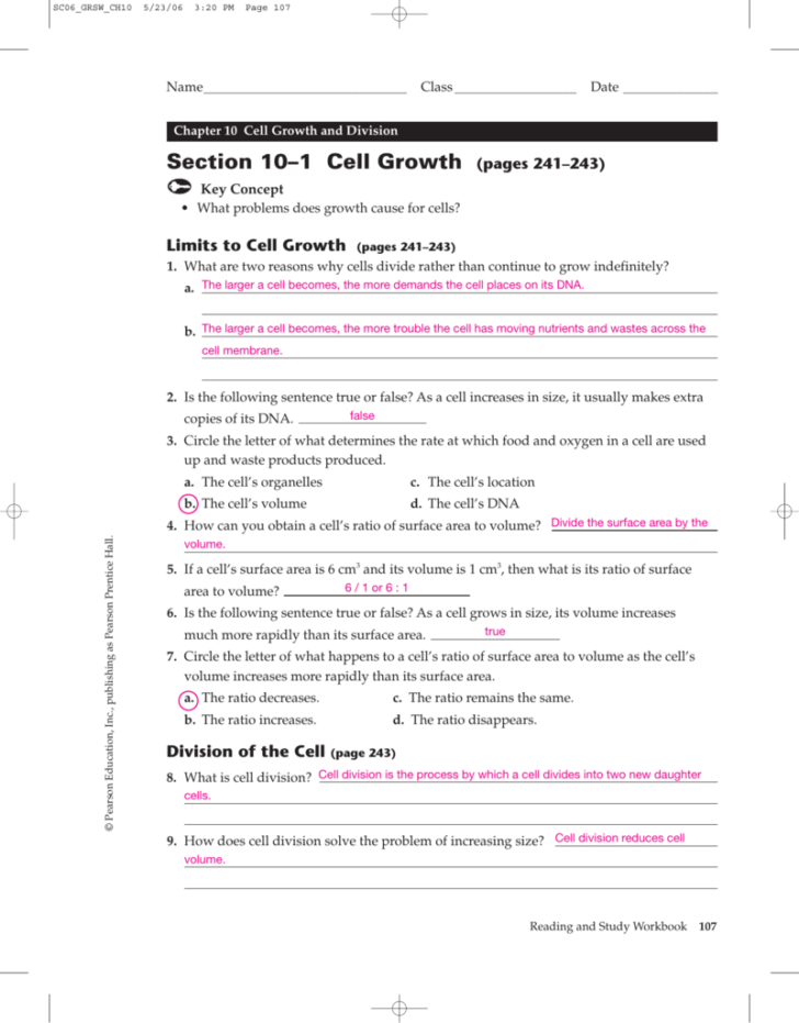 Chapter 10 Cell Growth And Division Worksheet Answer Key Db excel