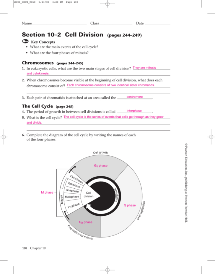 Chapter 10 Cell Growth And Division Worksheet Answer Key Db excel