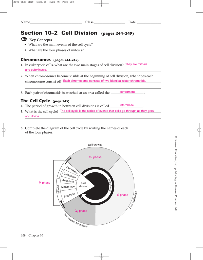 Section 10–2 Cell Division Pages 244–249