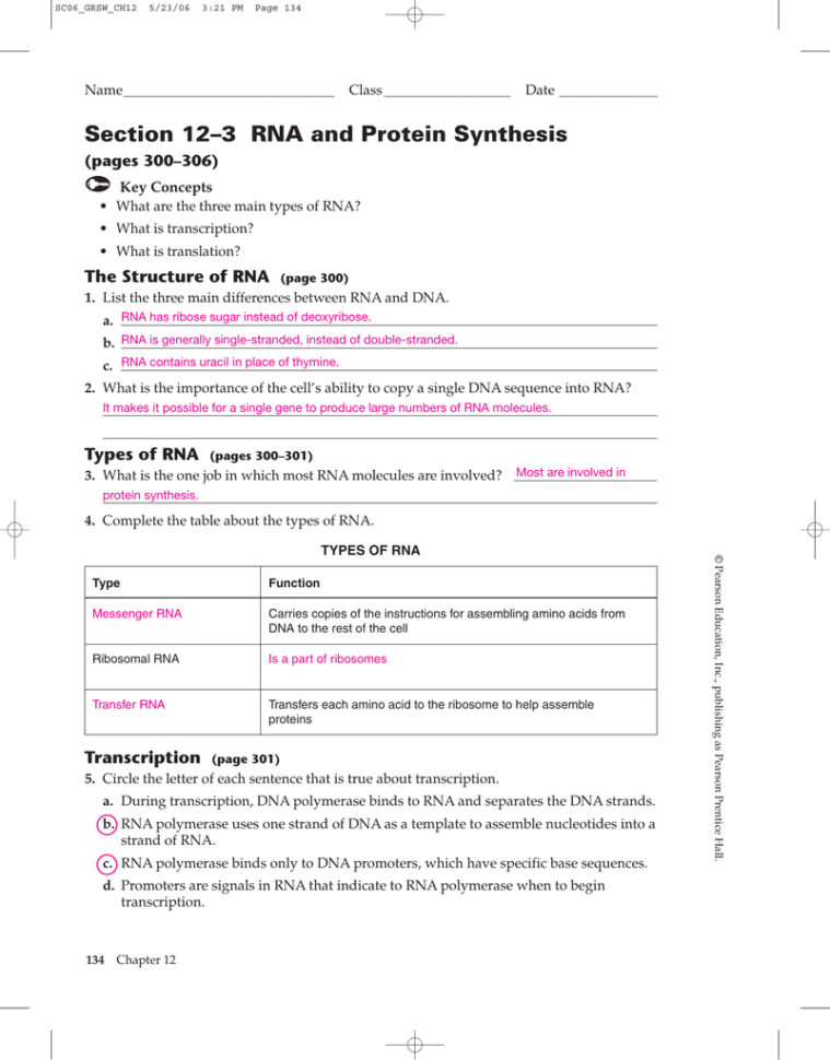 Section 12–3 Rna And Protein Synthesis