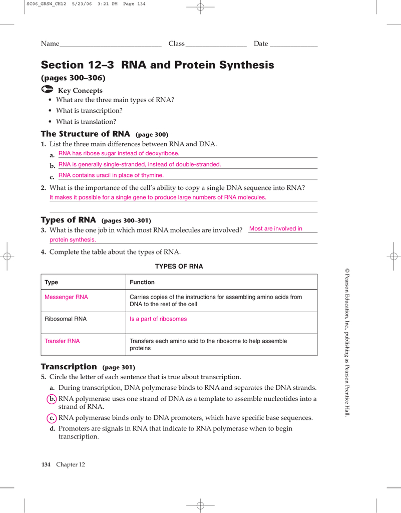 Section 12–3 Rna And Protein Synthesis