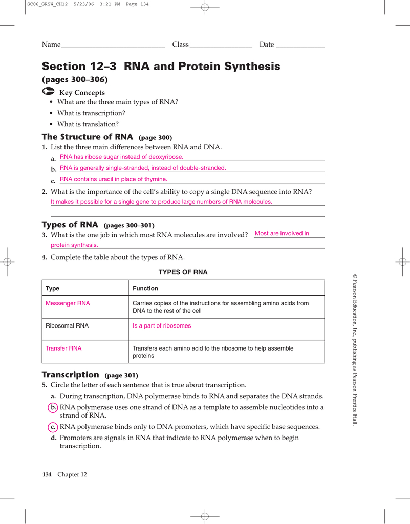 Section 12 3 Rna And Protein Synthesis Answer Key How To Db excel