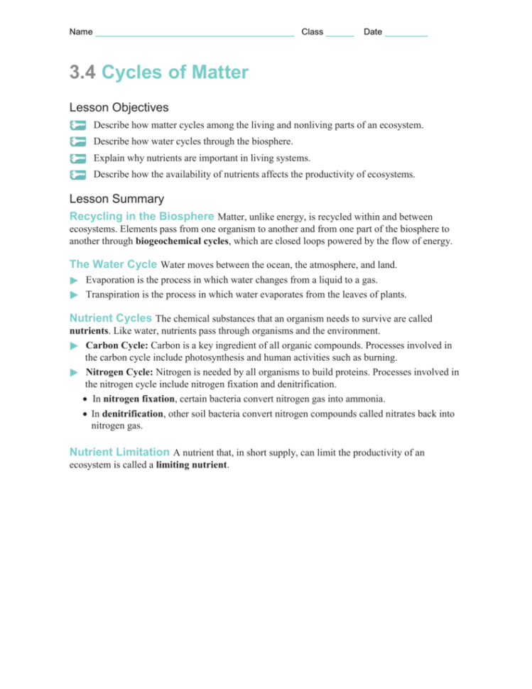 3 3 Cycles Of Matter Worksheet Answers | db-excel.com