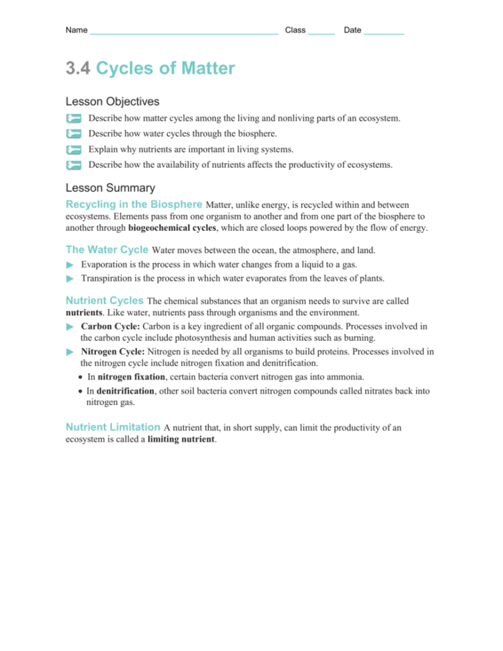 Nitrogen Cycle Worksheet Answers