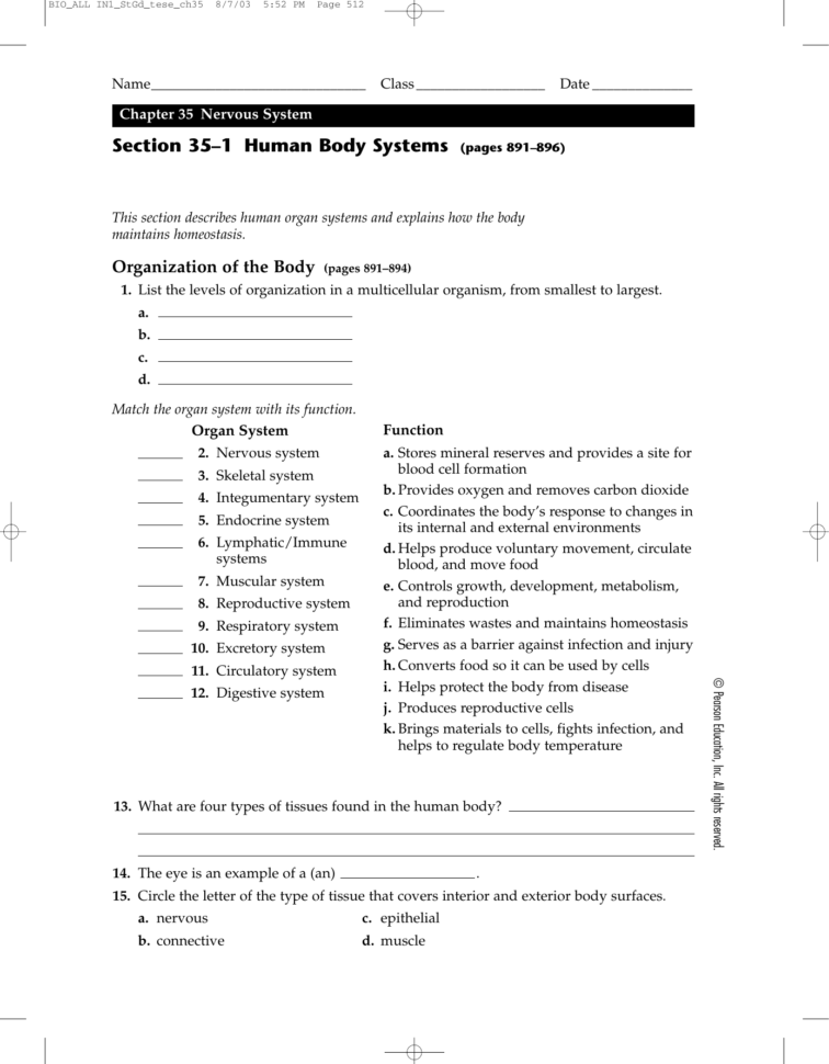 Section 35–1 Human Body Systems