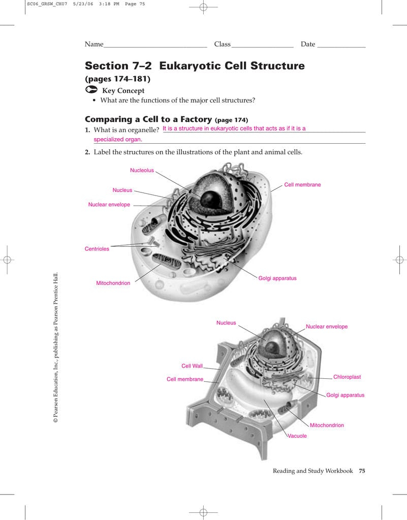 Section 7–2 Eukaryotic Cell Structure