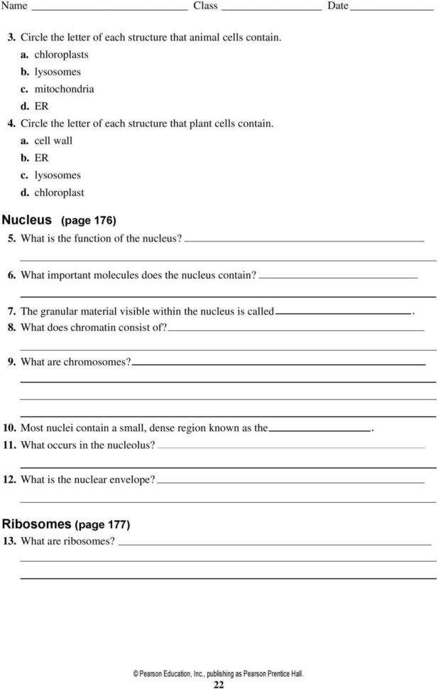 Section 72 Eukaryotic Cell Structure  Pdf