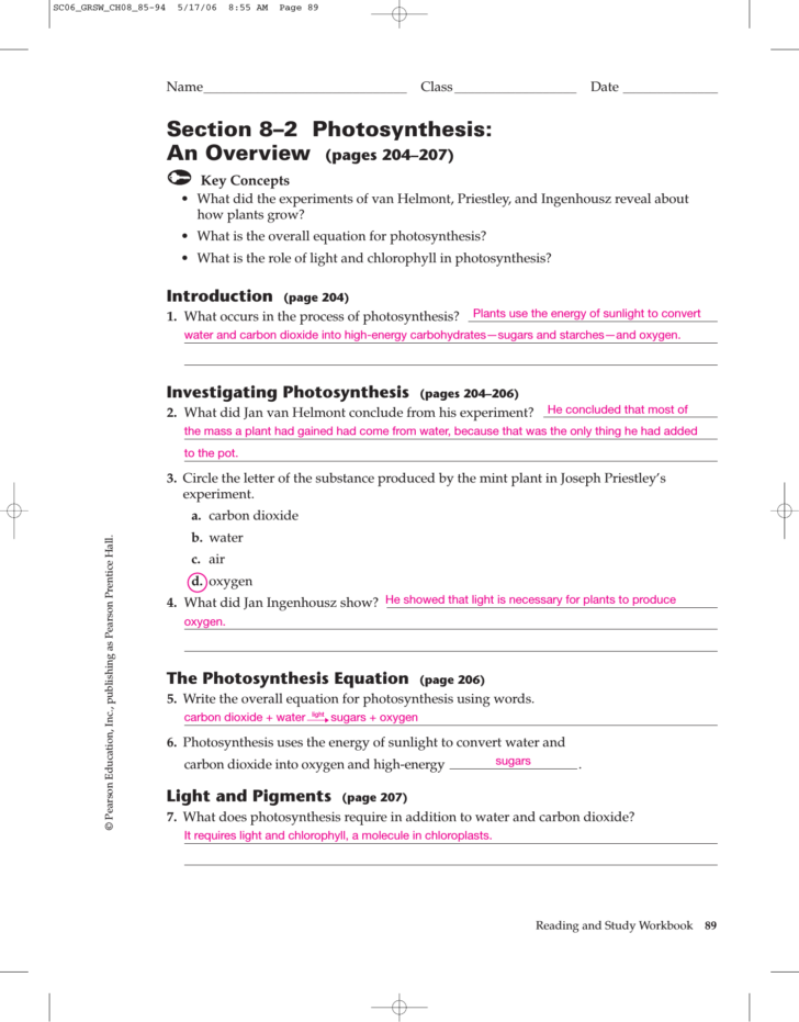 8-1-energy-and-life-worksheet-answer-key-db-excel