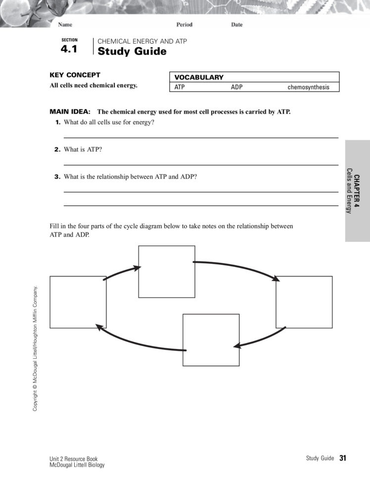 Section Chemical Energy And Atp 41 Study Guide Pages 1  34