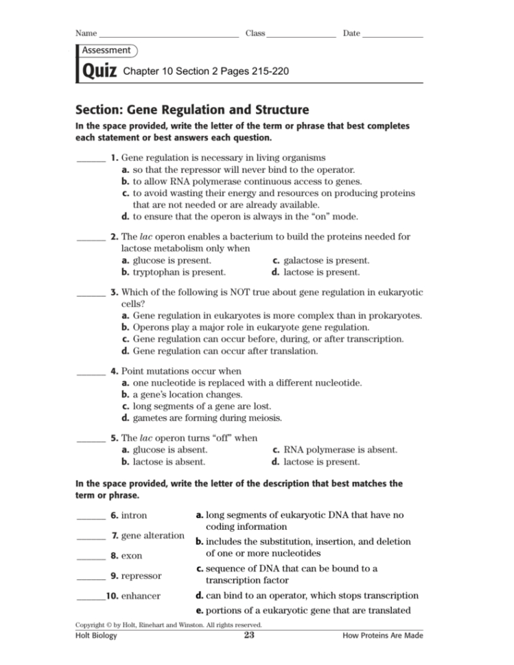Section Gene Regulation And Structure