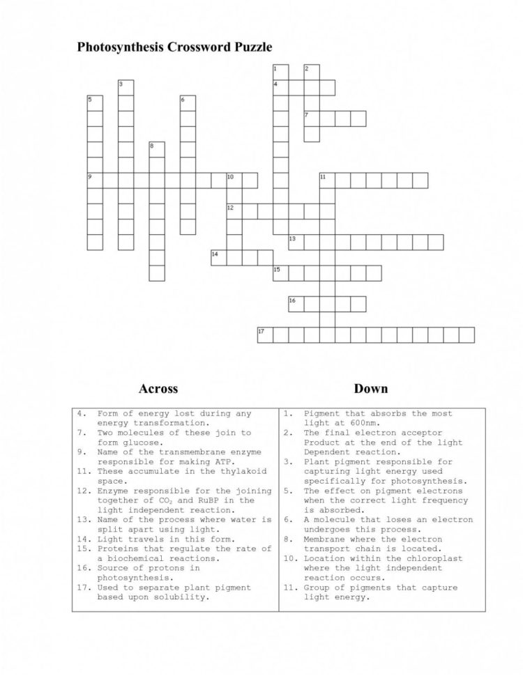 Self Esteem Therapy Worksheets  Worksheet