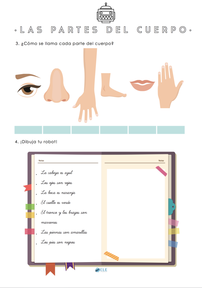 Semana De Ele Para Niños Día 5 Las Partes Del Cuerpo