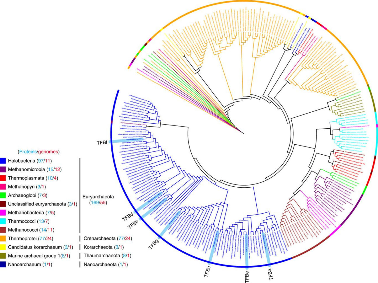 Sequencing The Steps Of Labor Worksheet Answers