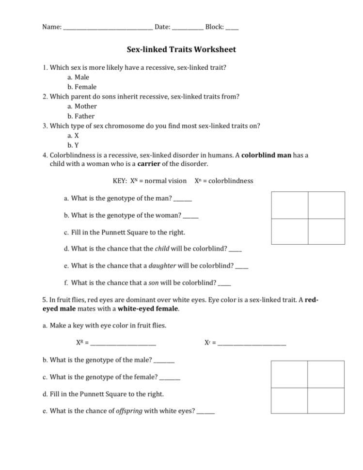 Sexlinked Traits Worksheet