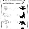 Shadow Matching Game Of Nocturnal Animals For Preschool Kids