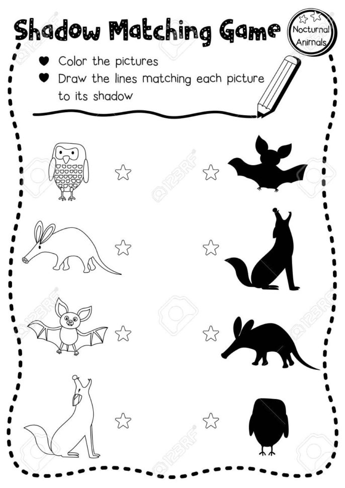 Shadow Matching Game Of Nocturnal Animals For Preschool Kids