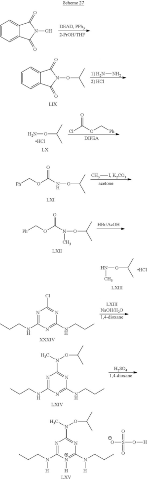 Sheep Brain Dissection Analysis Worksheet Answers