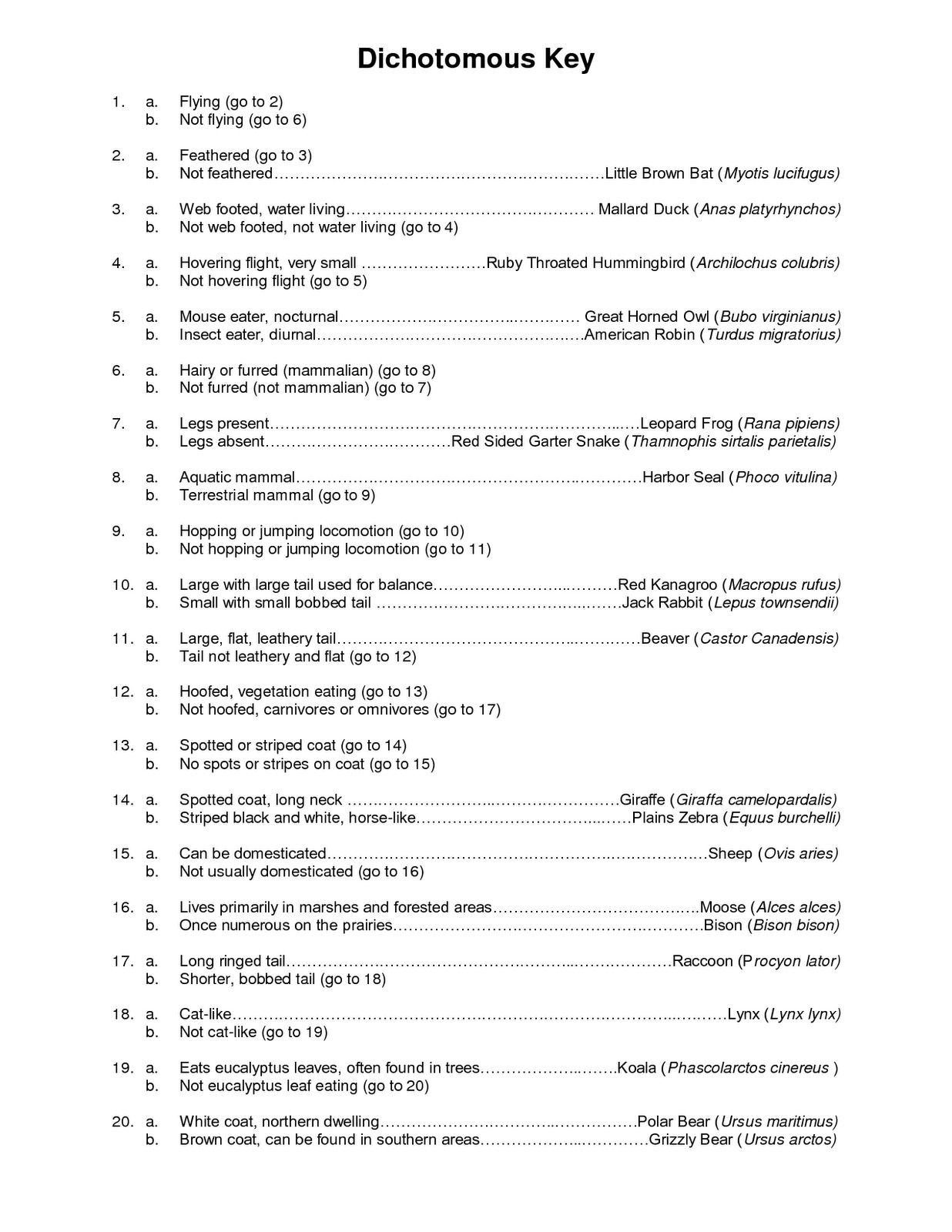 Sheep Brain Dissection Analysis Worksheet Answers Db excel