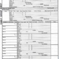 Sheet Genealogy Forms Individual Worksheet Unique Free