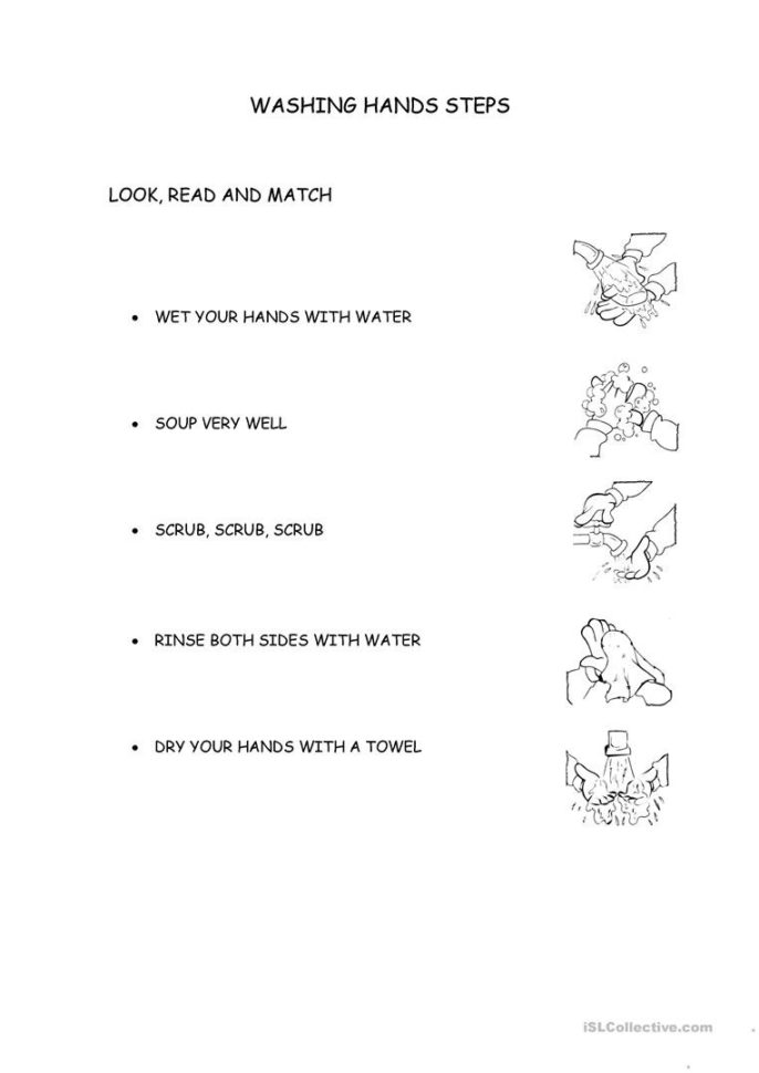 Shing Hands Steps  English Esl Worksheets