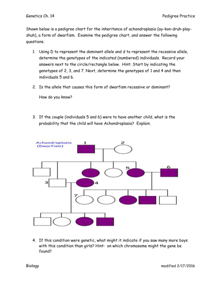 Pedigree Practice Problems Worksheet