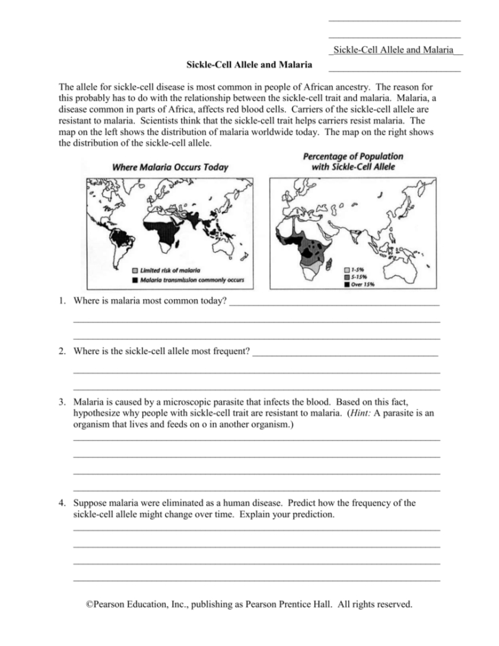 Sickle Cell Anemia Worksheet Answers