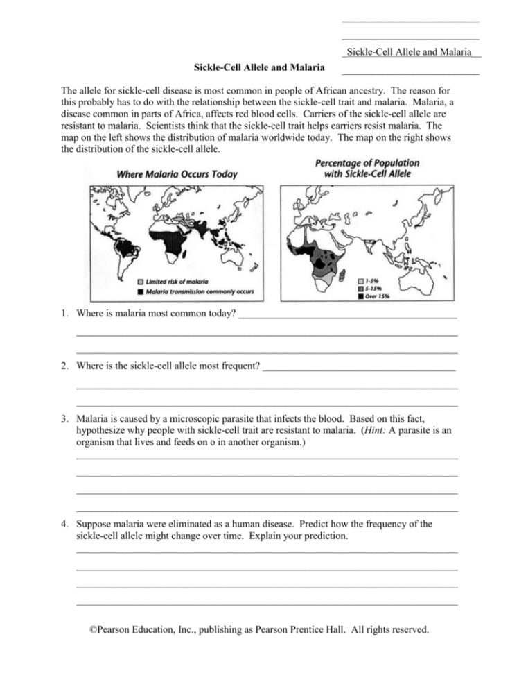 Sicklecell Allele And Malaria Worksheet