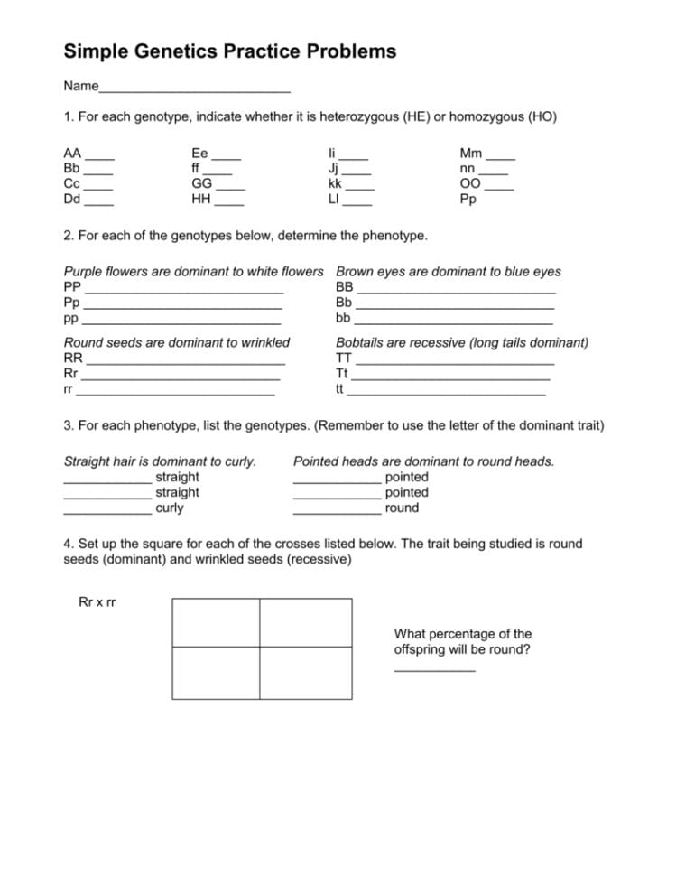 Simple Genetics Practice Problems