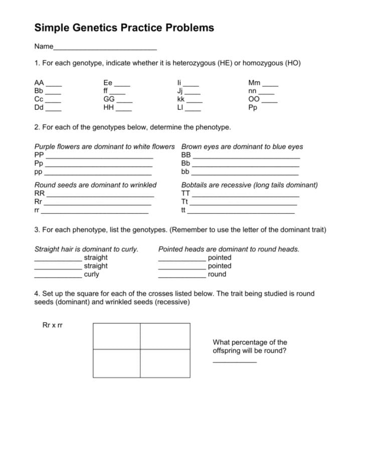 Genetics Practice Problems Simple Worksheet