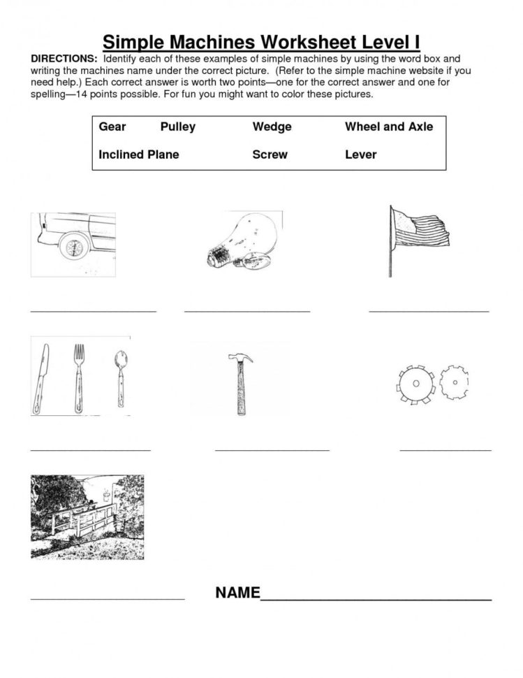 Simple Machines Worksheet Middle School  Yooob
