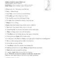 Simple Subjects And Predicates Worksheet 1  Answers